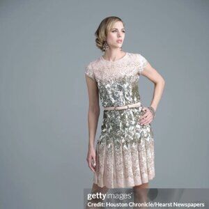 Oscar de la Renta Paillette Embroidery Chiffon Dress Size 2